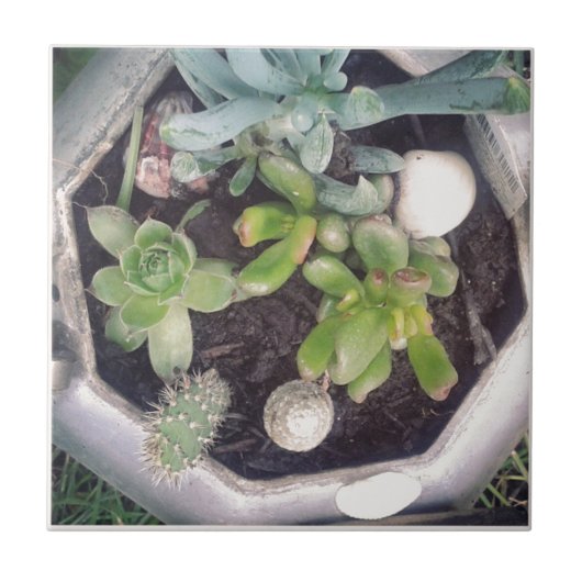 Carreau Heure du thé ? Une bouilloire à thé plantée (Devant)