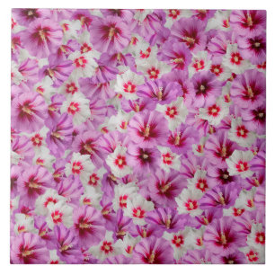 Carreau Hibiscus