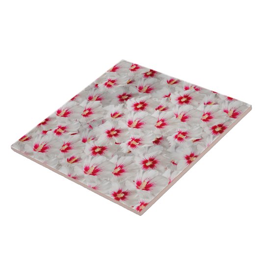 Carreau Hibiscus (Côté)