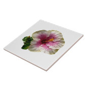 Carreau Hibiscus Candy Striper (Côté)