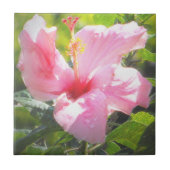 Carreau Hibiscus rose (Devant)