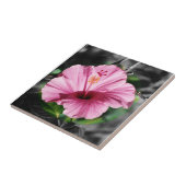 Carreau Hibiscus rose (Côté)