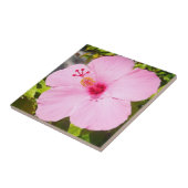 Carreau Hibiscus rose Fleur tropicale (Côté)