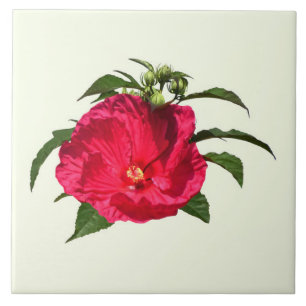 Carreau Hibiscus rose foncé