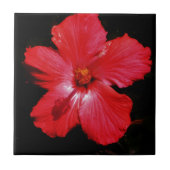 Carreau Hibiscus rouge (Devant)