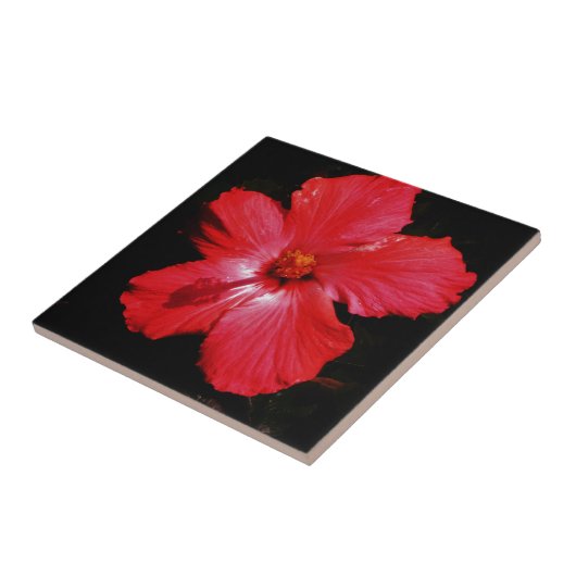 Carreau Hibiscus rouge (Côté)