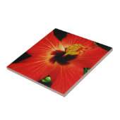 Carreau Hibiscus rouge (Côté)