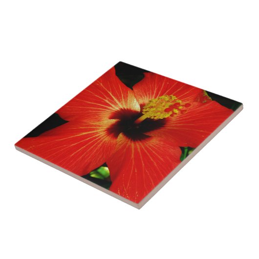 Carreau Hibiscus rouge (Côté)