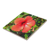 Carreau Hibiscus rouge floral (Côté)