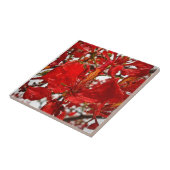 Carreau Hibiscus rouge Florales Fleurs tropicales Nature (Côté)