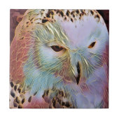 CARREAU HIBOU (Devant)