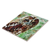 CARREAU HIBOU (Côté)