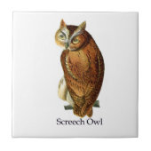 Carreau Hibou de cri strident (Devant)