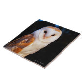 Carreau Hibou de grange 2 (Côté)