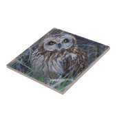Carreau Hibou des marais (Côté)