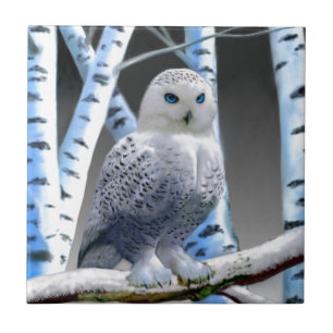 Carreau Hibou des neiges aux yeux bleus