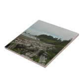 Carreau Hidden Beach I at Redwood National Park (Côté)