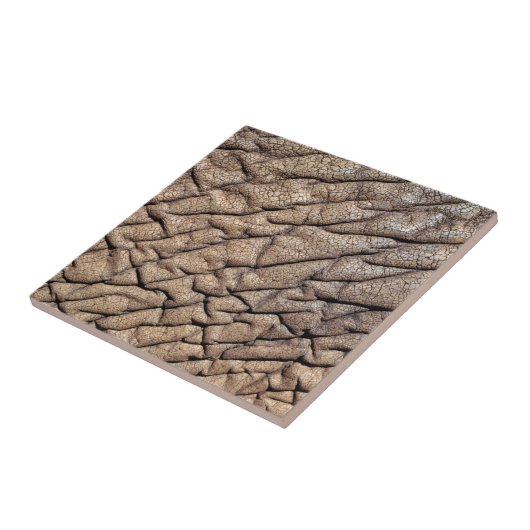 Carreau Hide d'Afrique (Côté)