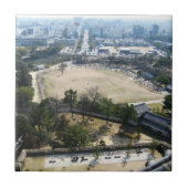 Carreau Himeji, Japon (Vue du château haut) (Devant)