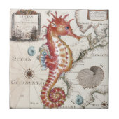 Carreau Hippocampe minable (Devant)