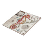 Carreau Hippocampe minable (Côté)