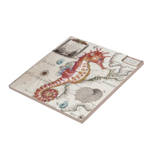 Carreau Hippocampe minable (Côté)