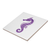 Carreau Hippocampe pourpre (Côté)