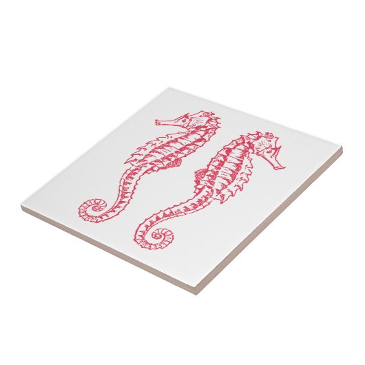 Carreau Hippocampes (Côté)