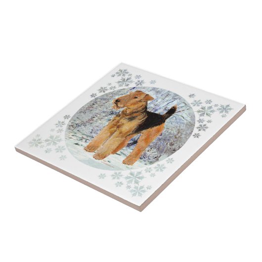 Carreau hiver (Côté)