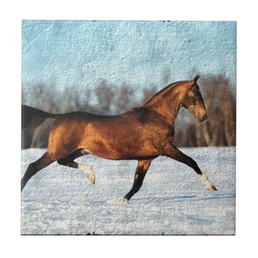 Carreau Hiver Akhal-teke (Devant)