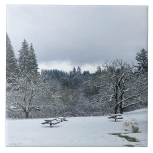 Carreau Hiver au parc, Wilsonville, OU