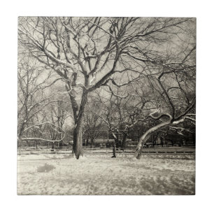 Carreau Hiver de New York - neige d'East Village