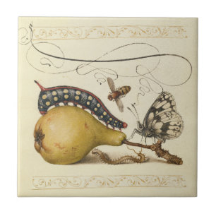 Carreau Hoefnagel Vintage Poire & Insectes 1500 Renaissanc