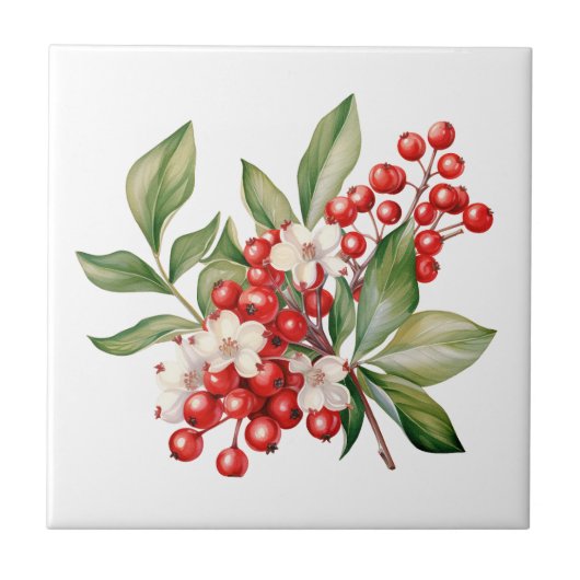 Carreau Holiday Red Berries Floral Ceramic Tile (Devant)