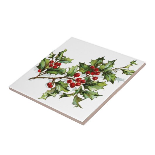 Carreau Holly Berries 001 (Côté)