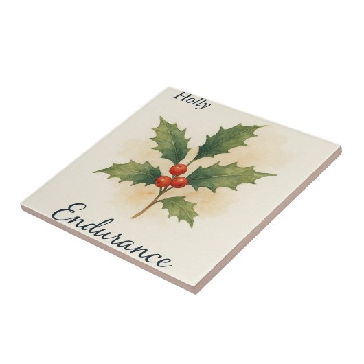 Carreau Holly — Endurance (Côté)