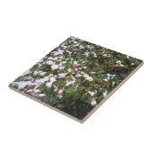 Carreau Holly et Snow (Côté)