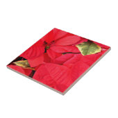 Carreau Holly Point Poinsettias vacances Floral (Côté)