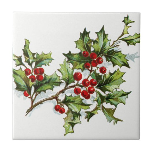 Carreau HollyBerries20150801 (Devant)