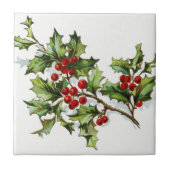 Carreau HollyBerries20150802 (Devant)