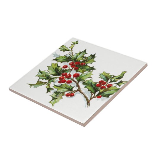 Carreau HollyBerries20150802 (Côté)