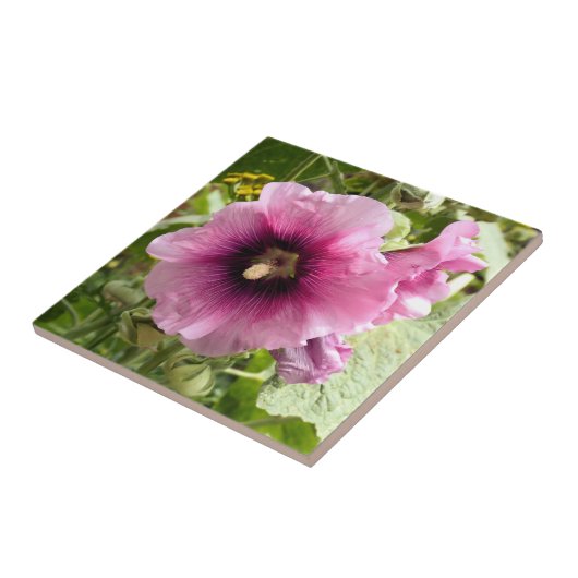 CARREAU HOLLYHOCK (Côté)