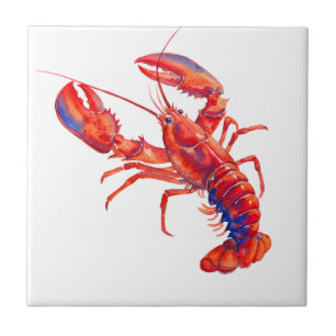 Carreau Homard