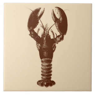 Carreau Homard Brown foncé sur beige clair