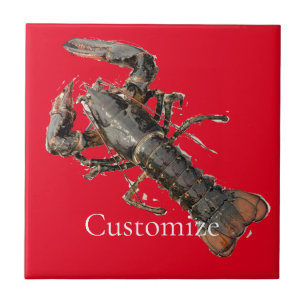 Carreau Homard frais du Maine Thunder_Cove