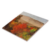 Carreau Homer - Arbres d'automne (Côté)