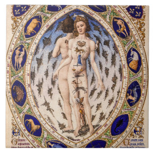 Carreau Homme anatomique Zodiaque