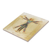 Carreau Homme de Vitruvian de da Vinci avec des tatouages (Côté)
