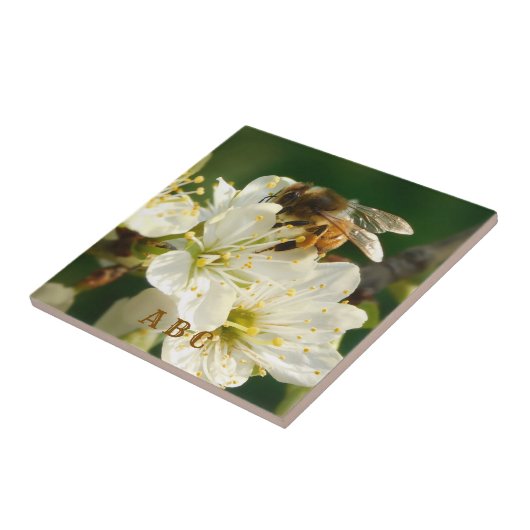 Carreau Honey Bee on Plum Blossom Ceramic Tile (Côté)