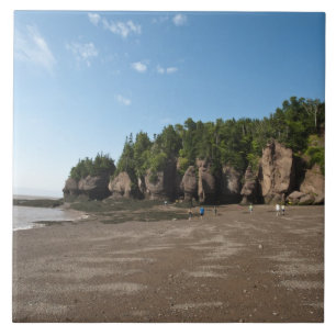 Carreau Hopewell Rocks et le site d'exploration de la maré